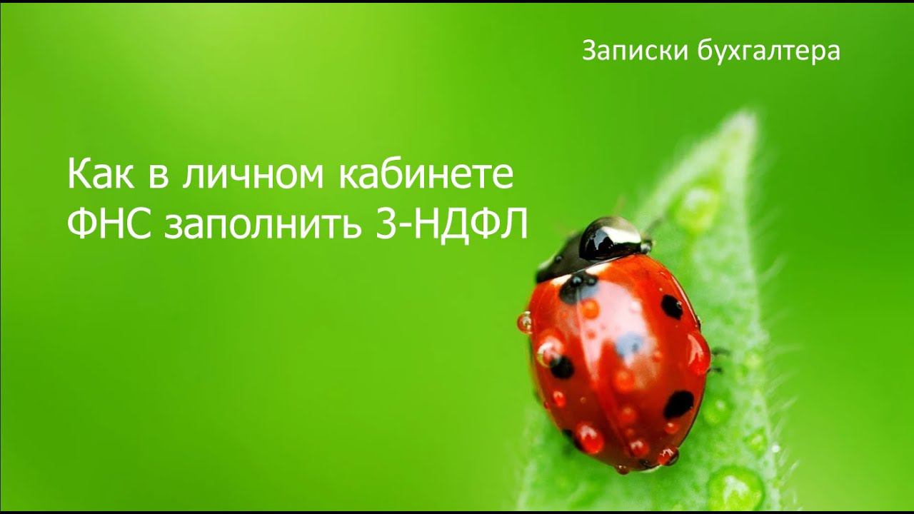 Записки бухгалтера