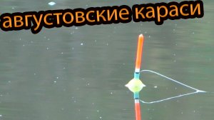 Рыбалка на карася !