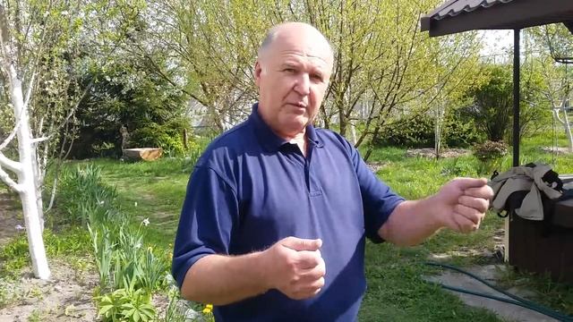 КАК ВКУСНО КОПТИТЬ РЫБУ . ПРОГУЛКА ПО ЛЕСУ смотреть онлайн