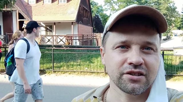 Зоопарк Вроцлава смотреть онлайн