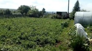 Мотоблок Угра +задний адаптер Форза! Обзор Форза! Сборка! Первый выезд! прицеп для мотоблока Forza!