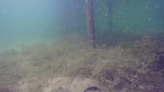 Lake diving near Palanga airport смотреть онлайн