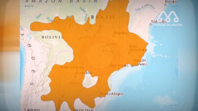 QUANDO A ONÇA ENCONTRA O LOBO GUARÁ смотреть онлайн