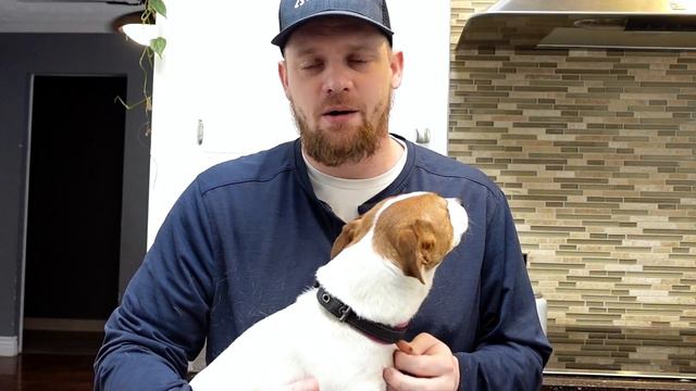Crucial Advice (Jack Russell Terriers And Other Dogs): Adopting, Socializing and Succeeding! смотреть онлайн