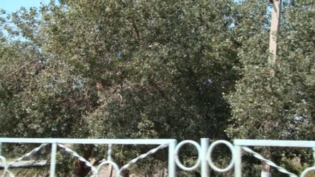 Ташауз , Дашогуз, Дашховуз, Dashoguz ,Туркменистан