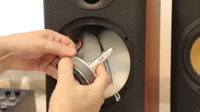 B&W DM601 S3 - A Look Inside , What's Inside