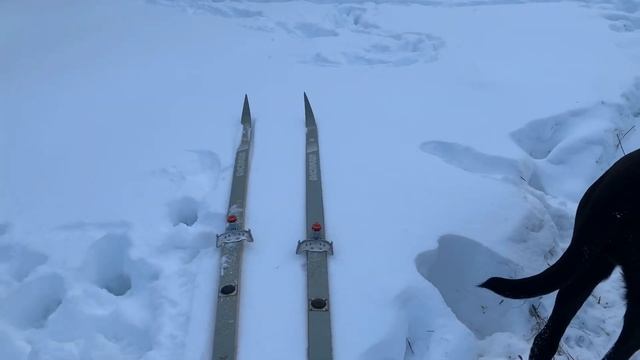 Один день из жизни в деревне! Земля Новгородская. смотреть онлайн