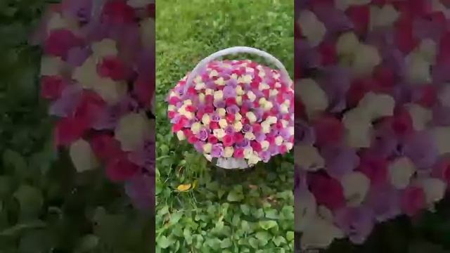 301роза нежный микс в корзине | Roza4u.ru
