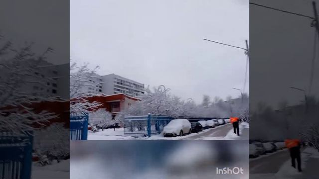 14.12.21 Пушистенько❄ Москва, Строгино #москва #строгино смотреть онлайн