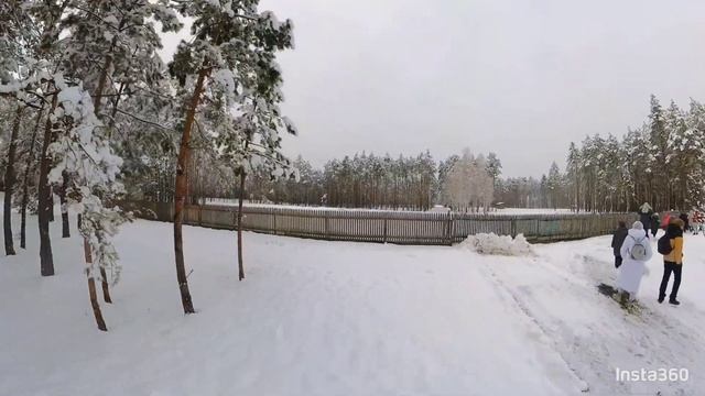 Путешествуем по Беларуси Национальный Парк Припятский #аэросъёмка #djiair2s #insta360x3 #travel смотреть онлайн