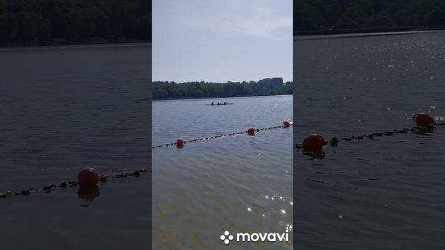 Осторожно, мертвая рыба на Комсомольском озере, Кишинев сегодня смотреть онлайн