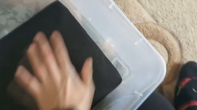 КАК ОБОРУДОВАТЬ КОНТЕЙНЕР ДЛЯ УЛИТОК ? ПРАВИЛЬНАЯ ВЕНТИЛЯЦЫЯ смотреть онлайн