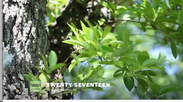Twenty Seventeen homepage with video background смотреть онлайн