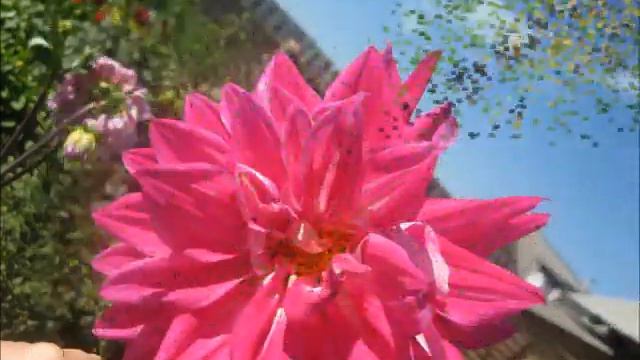 ПРЕЛЕСТЬ УХОДЯЩЕГО ЛЕТА смотреть онлайн