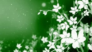 Видеофон. Футаж весенний. Красивый футаж для видео. Фоновый футаж. Цветочный