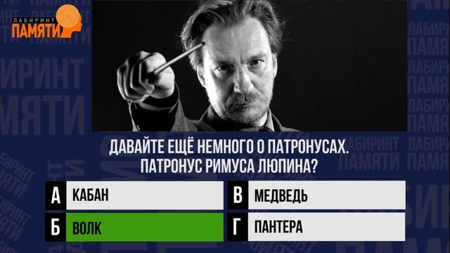 Как хорошо ты знаешь МИР Гарри Поттера? ТЕСТ по Гарри Поттеру смотреть онлайн