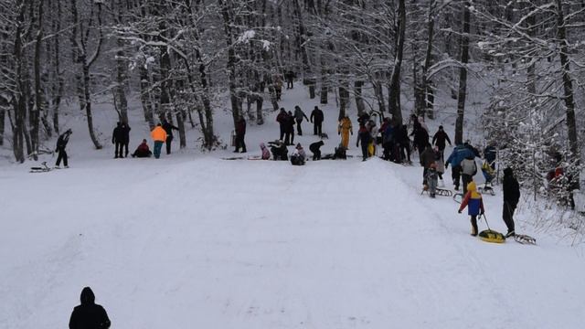 DSC_0142 смотреть онлайн
