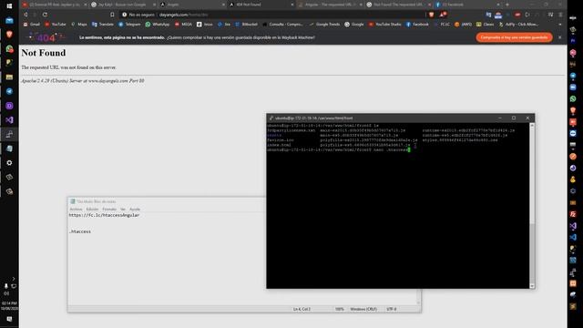 Angular-Apache [Solución]: Not Found the requested URL was not found on this server. смотреть онлайн