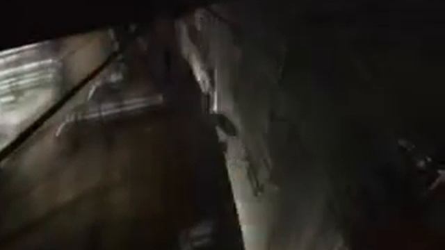 Resident Evil: Degeneration - Level 4 submerge system engaging... смотреть онлайн