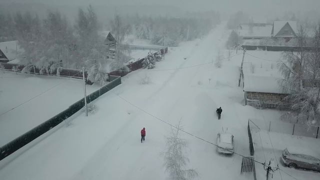 DJI DACHA смотреть онлайн