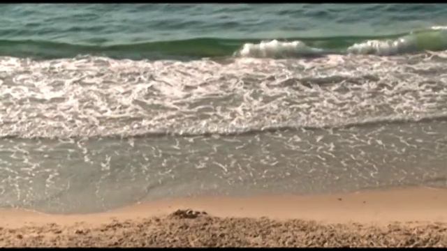 Who Are You People of Israel? смотреть онлайн