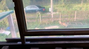 Ремонт дачного домика. Меняем фронтон и устанавливаем окно. Этап фронтона