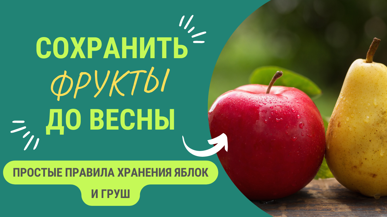 Простой Способ Сохранить Яблоки И Груши До Весны смотреть онлайн