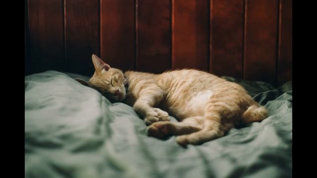 Спокойная музыка для медитации, снятия стресса. Три часа. смотреть онлайн