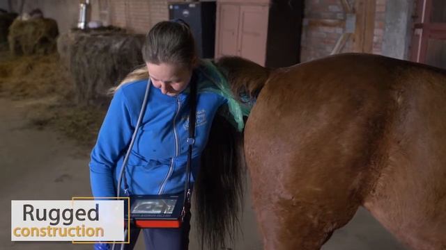 Dramiński iScan 2 portable ultrasound scanner for horse reproduction смотреть онлайн