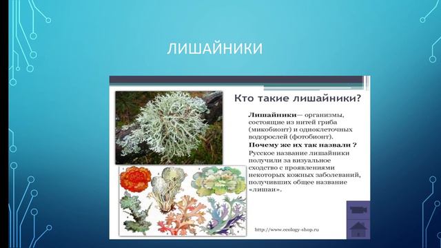 ботаника смотреть онлайн