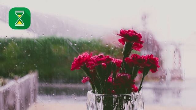 Cнятие одежды не в доме мужа 02.03.2021 | Шейх Абу Яхья