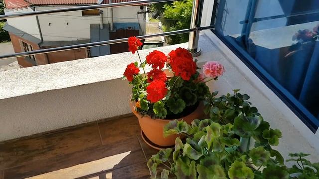 Сочи, Первомайская смотреть онлайн