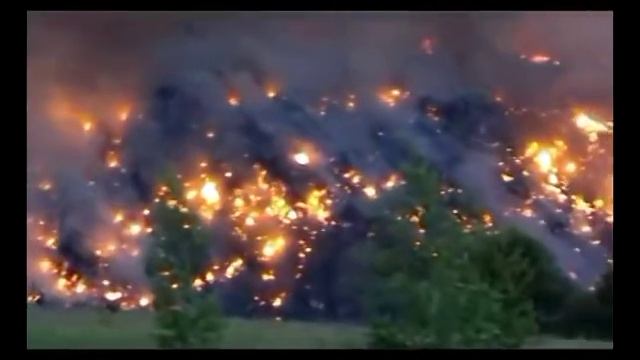 Я против 109 Прогр. Войцеховского Мусор в душе и природе. смотреть онлайн