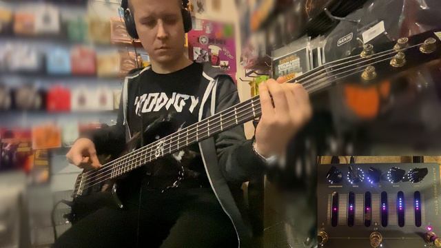 Limp Bizkit - Hot Dog(ShortBassCover)