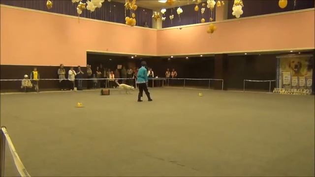 Хвостатый перепляс - 2016. Челябинск 18.06.2016 смотреть онлайн