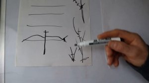 КАК ОБРЕЗАТЬ АКТИНИДИЮ,