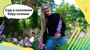 Сад в сосновом бору осенью 2023 года | Ландшафтный дизайн | Цветники | Лилейник | Гортензии