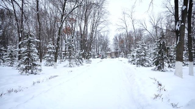 Настроение недели 150120 смотреть онлайн