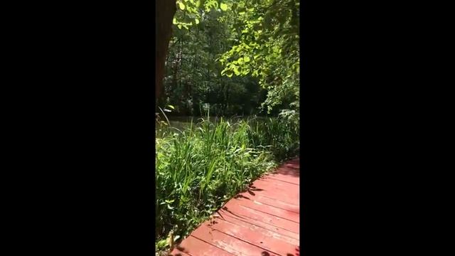 Прямое включение из Желтой Мельницы - Live video Moulin Jaune смотреть онлайн