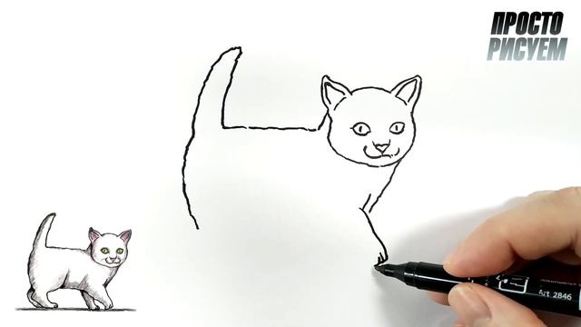 рисуем котенка :просто рисуем: смотреть онлайн