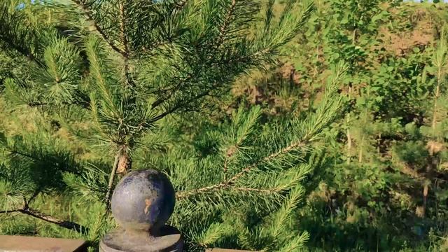 г. Нижняя Тура прогулка по Шайтану и платинке