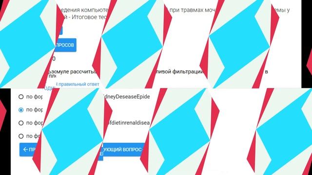 Методика проведения компьютерной томографии (КТ) при травмах мочевыделительной системы у взрослых.. смотреть онлайн
