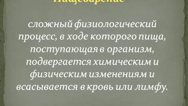 Строение и функции пищеварительной системы.AVI смотреть онлайн