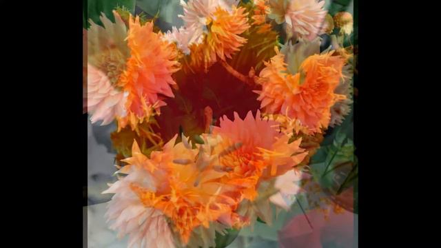 Orange colour flowers ( Vivaldi ) смотреть онлайн