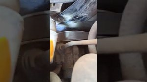 расположение vin номера Chevrolet Lachette