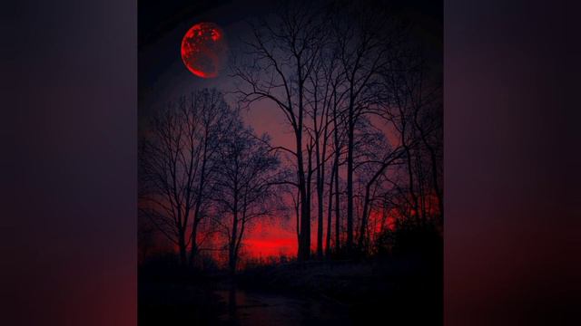 ВЕРОЮ ПОЗНАЕМ, ЧТО ВЕКИ УСТРОЕНЫ СЛОВОМ БОЖИИМ, ТАК ЧТО ИЗ НЕВИДИМОГО ПРОИЗОШЛО ВИДИМОЕ. смотреть онлайн