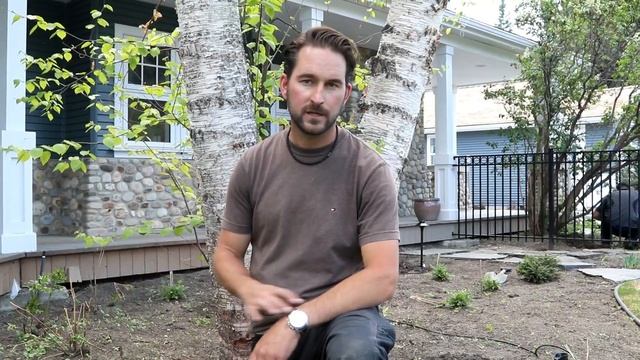 How to Install Landscape Lighting - Up Lighting and Accent Lighting смотреть онлайн