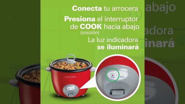 Cómo preparar arroz esponjocito facilmente ??? con la arrocera Hamilton Beach 37538N смотреть онлайн