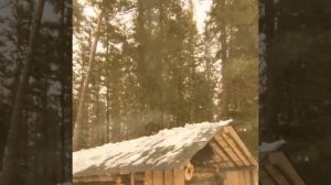 Путешествие по избам!Тайга Варяг 550V и Тайга Патруль 550 SWT в теплуй погоду!