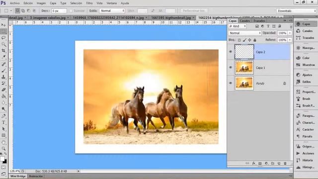 SOLO PHOTOSHOP 19 смотреть онлайн